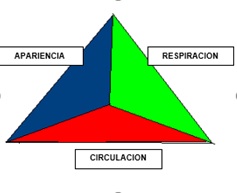 curso soporte vital pediatrico