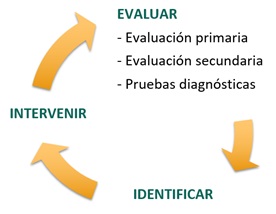 soporte vital pediatrico