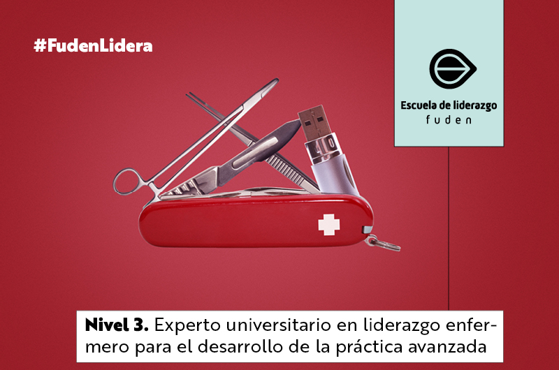 Experto en Liderazgo Enfermero para el Desarrollo de la Práctica Avanzada