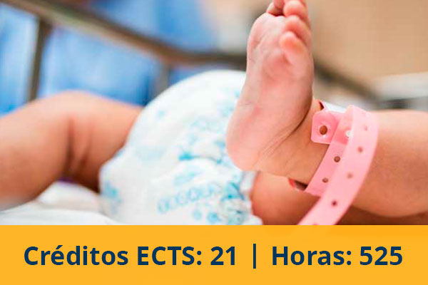 Experto universitario en atención integral a la gestante, puérpera y neonato en riesgo