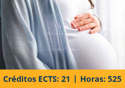 Experto universitario en atención integral a la gestante, puérpera y neonato en riesgo para matronas