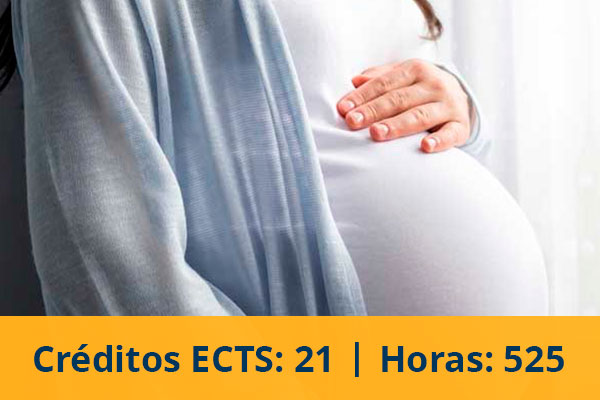 Experto universitario en atención integral a la gestante, puérpera y neonato en riesgo para matronas