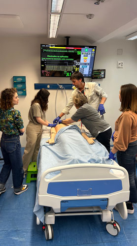 experto-cooperacion-