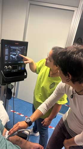 experto-cooperacion-