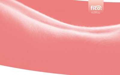 Fico, buscando la excelencia a través de la formación y la divulgación