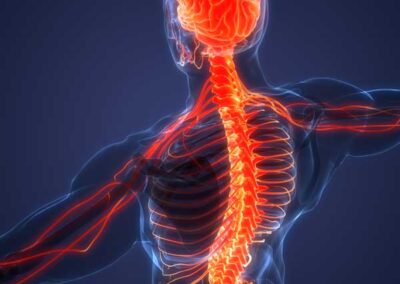 Movilización neuromeníngea. Tratamiento de los trastornos mecanosensitivos del sistema nervioso