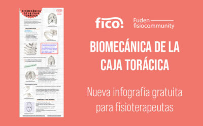 Infografía gratuita. Biomecánica de la caja torácica