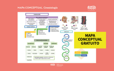 Mapa conceptual gratuito. Cinesiología
