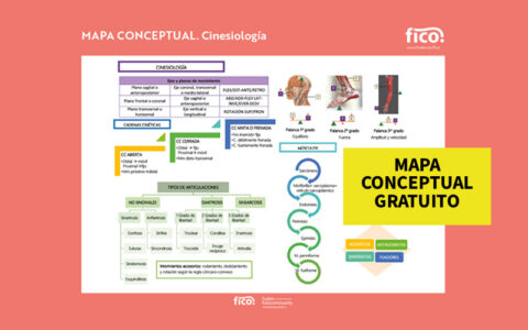 Mapa conceptual gratuito. Cinesiología | FisioCommunity