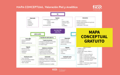 Mapa conceptual gratuito. Valoración Piel y Analítica