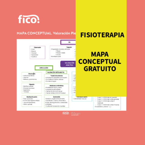 Mapa conceptual gratuito fisioterapia. Valoración Piel y Analítica