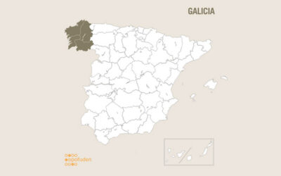 Lanzamos la preparación para la OPE de enfermería de Galicia 2022