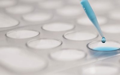 10 razones para publicar en revistas de investigación enfermera