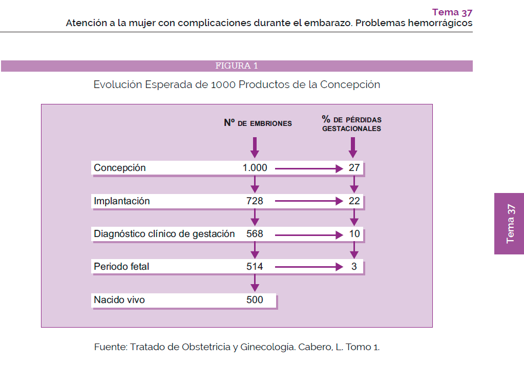 SEP matronas tabla