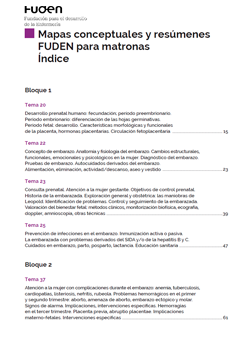 Mapas conceptuales indice