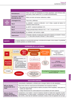 Mapas conceptuales matronas 1