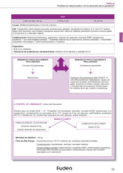 Mapas conceptuales matronas 4