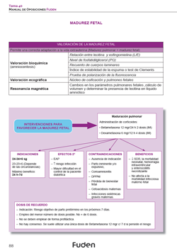 Mapas conceptuales matronas 5