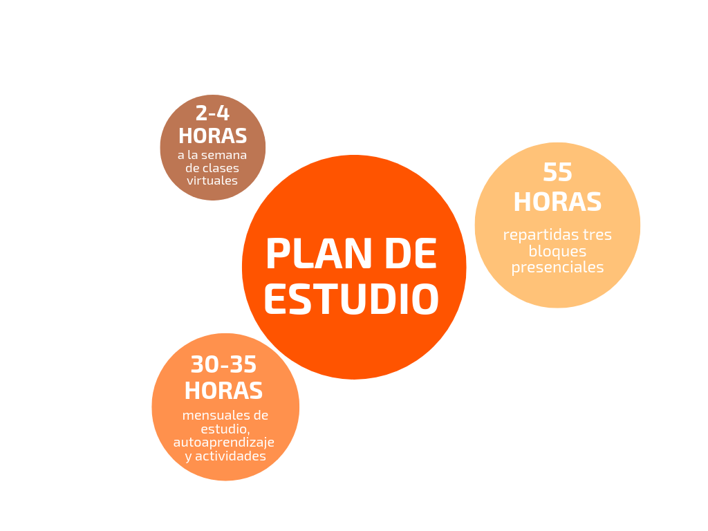 plandeestudio10