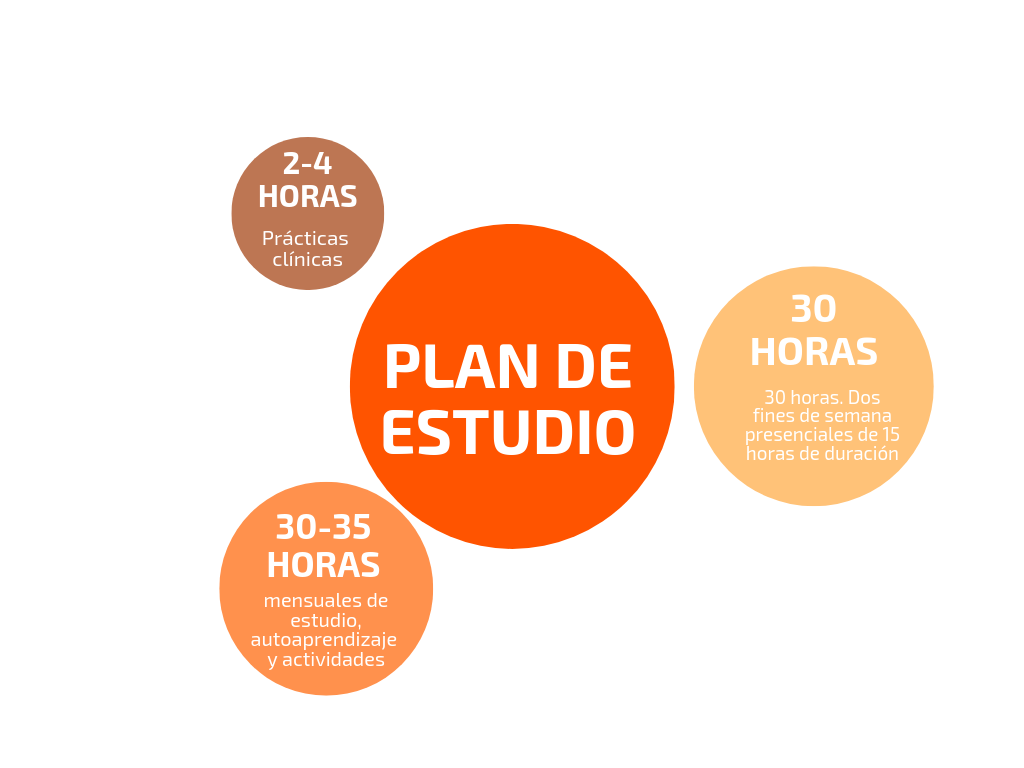 plandeestudio5 1