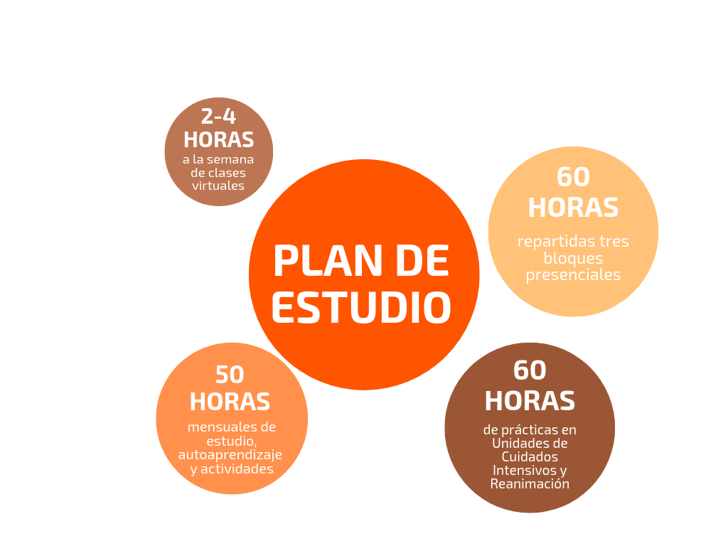 plandeestudio9