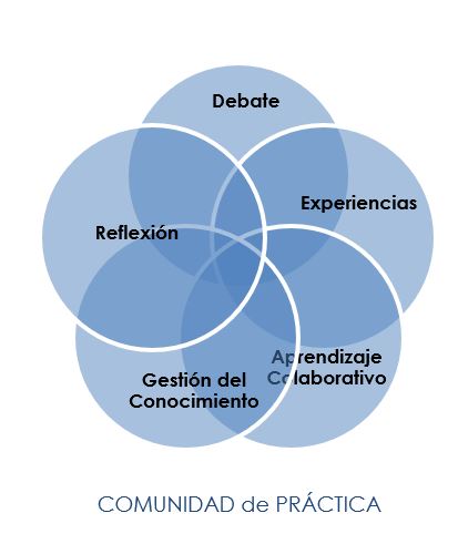 11 opiion comunidad participativa