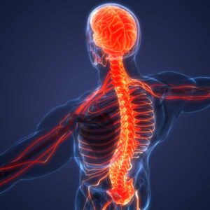 curso online fisioterapeutas