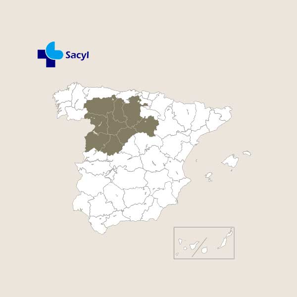 Mapa político España_Castilla y León